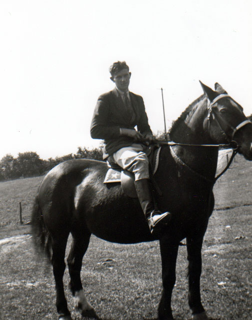 TroyLarkonHorse